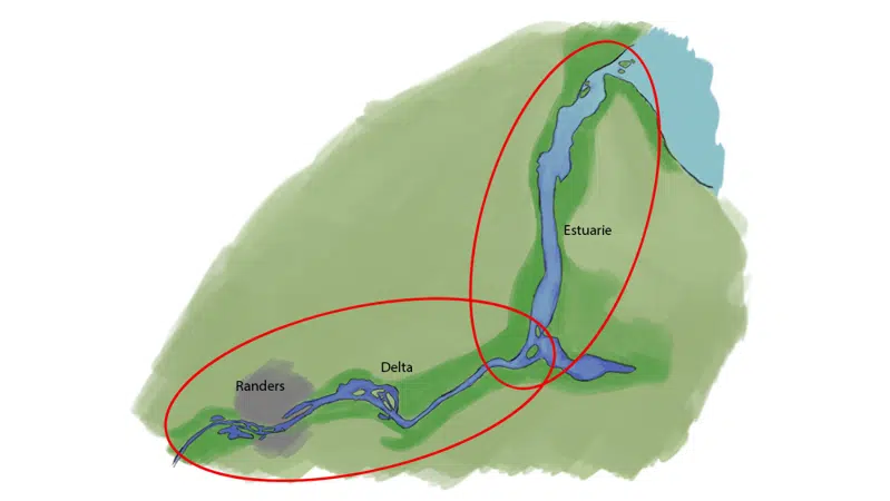 Tegning, der illustrerer et delta og et estuarie
